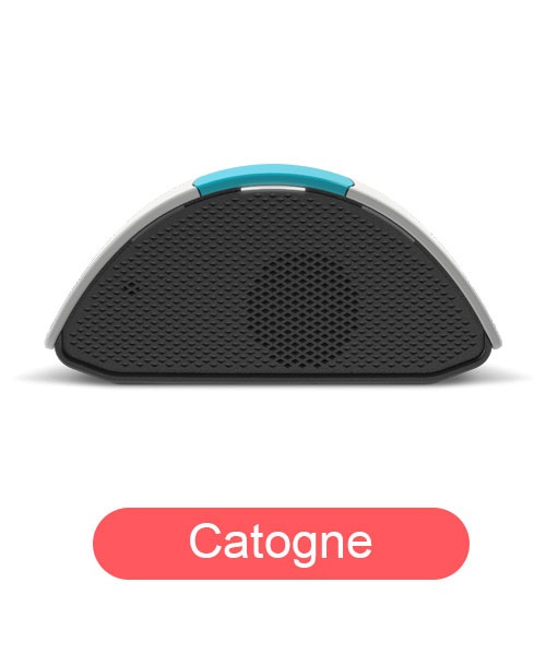 Catogne