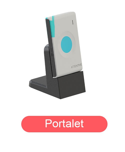 Portalet